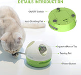 Interactive Cat Toy, Hide Mouse Cat Toy with Squeaky Mouse, Electronic Automatic Cat Toys with Catnip Filled Hidey Mouse, Cat Toys Interactive for Indoor Cats Exercise & Game