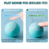 Interactive Smart Ball for Indoor Play