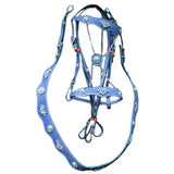 EquiElite™ PU Leather Horse Halter & Lead Rope Set – Premium Comfort, Total Control