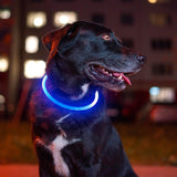 Light up Dog Collar,  USB Rechargeable Flash Dog Necklace Light, Pet Safety Collar Makes Your Beloved Dogs Be Seen at Night for Small Medium Large Dogs(Blue)